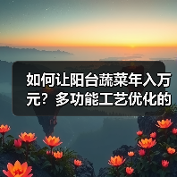 如何让阳台蔬菜年入万元?多功能工艺优化的高效秘诀(图1) 如何让阳台蔬菜年入万元?多功能工艺优化的高效秘诀(图1)