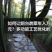 如何让阳台蔬菜年入万元?多功能工艺优化的高效秘诀(图2) 如何让阳台蔬菜年入万元?多功能工艺优化的高效秘诀(图2)