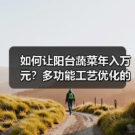 如何让阳台蔬菜年入万元?多功能工艺优化的高效秘诀(图3) 如何让阳台蔬菜年入万元?多功能工艺优化的高效秘诀(图3)