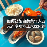 如何让阳台蔬菜年入万元?多功能工艺优化的高效秘诀(图4) 如何让阳台蔬菜年入万元?多功能工艺优化的高效秘诀(图4)