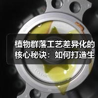 植物群落工艺差异化的核心秘诀：如何打造生态景观竞争优势（图3）