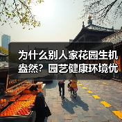 为什么别人家花园生机盎然?园艺健康环境优化全流程解析(图1) 为什么别人家花园生机盎然?园艺健康环境优化全流程解析(图1)