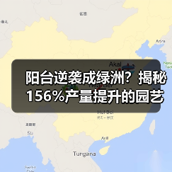 阳台逆袭成绿洲？揭秘156%产量提升的园艺优化术（图2）