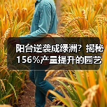 阳台逆袭成绿洲？揭秘156%产量提升的园艺优化术（图4）