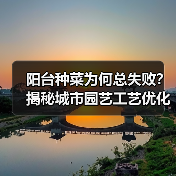 阳台种菜为何总失败?揭秘城市园艺工艺优化的智能种植秘诀(图3) 阳台种菜为何总失败?揭秘城市园艺工艺优化的智能种植秘诀(图3)