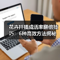 花卉扦插成活率翻倍技巧:6种高效方法揭秘(图1) 花卉扦插成活率翻倍技巧:6种高效方法揭秘(图1)