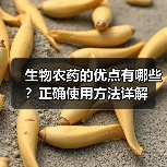 生物农药的优点有哪些?正确使用方法详解(图4) 生物农药的优点有哪些?正确使用方法详解(图4)