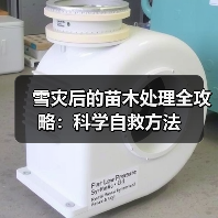 雪灾后的苗木处理全攻略:科学自救方法(图3) 雪灾后的苗木处理全攻略:科学自救方法(图3)