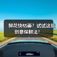 鲜花快枯萎?试试这些创意保鲜法!(图3) 鲜花快枯萎?试试这些创意保鲜法!(图3)