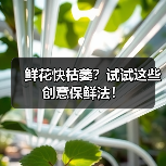 鲜花快枯萎?试试这些创意保鲜法!(图4) 鲜花快枯萎?试试这些创意保鲜法!(图4)