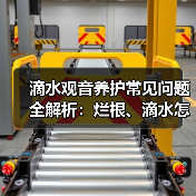 滴水观音养护常见问题全解析：烂根、滴水怎么办？（图1）