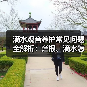 滴水观音养护常见问题全解析：烂根、滴水怎么办？（图2）