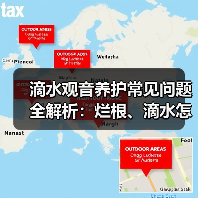 滴水观音养护常见问题全解析：烂根、滴水怎么办？（图3）