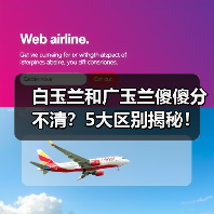 白玉兰和广玉兰傻傻分不清?5大区别揭秘!(图4) 白玉兰和广玉兰傻傻分不清?5大区别揭秘!(图4)