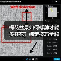 梅花盆景如何修剪才能多开花？绑定技巧全解析（图3）