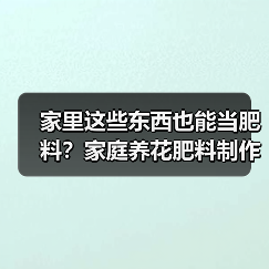 家里这些东西也能当肥料?家庭养花肥料制作方法(图1) 家里这些东西也能当肥料?家庭养花肥料制作方法(图1)