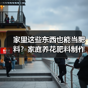 家里这些东西也能当肥料?家庭养花肥料制作方法(图2) 家里这些东西也能当肥料?家庭养花肥料制作方法(图2)