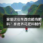 家里这些东西也能当肥料?家庭养花肥料制作方法(图4) 家里这些东西也能当肥料?家庭养花肥料制作方法(图4)