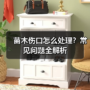 苗木伤口怎么处理?常见问题全解析(图1) 苗木伤口怎么处理?常见问题全解析(图1)