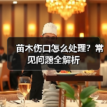苗木伤口怎么处理?常见问题全解析(图2) 苗木伤口怎么处理?常见问题全解析(图2)