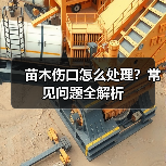 苗木伤口怎么处理?常见问题全解析(图3) 苗木伤口怎么处理?常见问题全解析(图3)