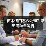 苗木伤口怎么处理?常见问题全解析(图4) 苗木伤口怎么处理?常见问题全解析(图4)