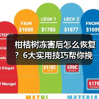 柑桔树冻害后怎么恢复?6大实用技巧帮你挽回损失(图3) 柑桔树冻害后怎么恢复?6大实用技巧帮你挽回损失(图3)