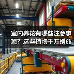 室内养花有哪些注意事项?这些植物千万别放卧室!(图3) 室内养花有哪些注意事项?这些植物千万别放卧室!(图3)