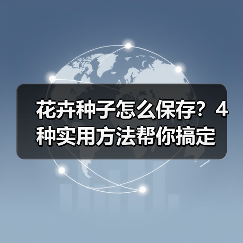 花卉种子怎么保存?4种实用方法帮你搞定(图4) 花卉种子怎么保存?4种实用方法帮你搞定(图4)