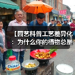 【园艺科普工艺差异化:为什么你的植物总是养不好?揭秘专业园艺师的4个独门秘籍】(图3) 【园艺科普工艺差异化:为什么你的植物总是养不好?揭秘专业园艺师的4个独门秘籍】(图3)