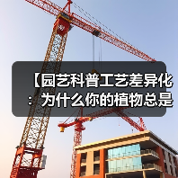 【园艺科普工艺差异化:为什么你的植物总是养不好?揭秘专业园艺师的4个独门秘籍】(图4) 【园艺科普工艺差异化:为什么你的植物总是养不好?揭秘专业园艺师的4个独门秘籍】(图4)