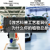 【园艺科普工艺差异化：为什么你的植物总是养不好？揭秘专业园艺师的4个独门秘籍】（图4）