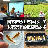 园艺应急工艺优化:突发状况下的植物拯救术,2026年最全实战指南(图1) 园艺应急工艺优化:突发状况下的植物拯救术,2026年最全实战指南(图1)