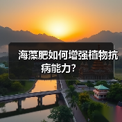 海藻肥如何增强植物抗病能力？（图3）