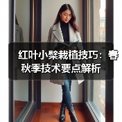 红叶小檗栽植技巧：春秋季技术要点解析（图4）