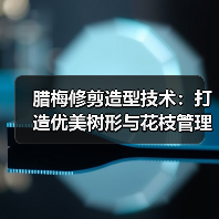 腊梅修剪造型技术:打造优美树形与花枝管理(图1) 腊梅修剪造型技术:打造优美树形与花枝管理(图1)