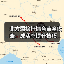 北方蜀桧扦插育苗全攻略:成活率提升技巧(图2) 北方蜀桧扦插育苗全攻略:成活率提升技巧(图2)