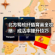北方蜀桧扦插育苗全攻略:成活率提升技巧(图4) 北方蜀桧扦插育苗全攻略:成活率提升技巧(图4)