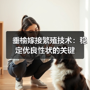 垂榆嫁接繁殖技术:稳定优良性状的关键(图1) 垂榆嫁接繁殖技术:稳定优良性状的关键(图1)