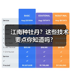 江南种牡丹？这些技术要点你知道吗？（图1）