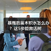 暴雨后苗木积水怎么办?这5步能救活树(图4) 暴雨后苗木积水怎么办?这5步能救活树(图4)