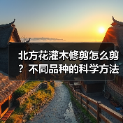 北方花灌木修剪怎么剪?不同品种的科学方法全解析(图1) 北方花灌木修剪怎么剪?不同品种的科学方法全解析(图1)