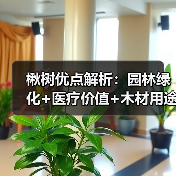 楸树优点解析:园林绿化+医疗价值+木材用途,你了解多少?(图1) 楸树优点解析:园林绿化+医疗价值+木材用途,你了解多少?(图1)