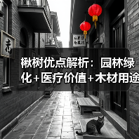 楸树优点解析:园林绿化+医疗价值+木材用途,你了解多少?(图2) 楸树优点解析:园林绿化+医疗价值+木材用途,你了解多少?(图2)