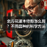 北方花灌木修剪怎么剪?不同品种的科学方法全解析(图3) 北方花灌木修剪怎么剪?不同品种的科学方法全解析(图3)