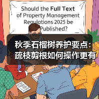 秋季石榴树养护要点：疏枝剪根如何操作更有效？（图4）