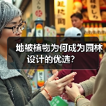 地被植物为何成为园林设计的优选？（图3）