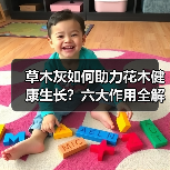草木灰如何助力花木健康生长?六大作用全解析(图2) 草木灰如何助力花木健康生长?六大作用全解析(图2)