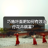 巧施叶面肥如何有效治疗花卉病害？