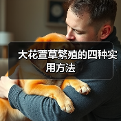 大花萱草繁殖的四种实用方法（图3）